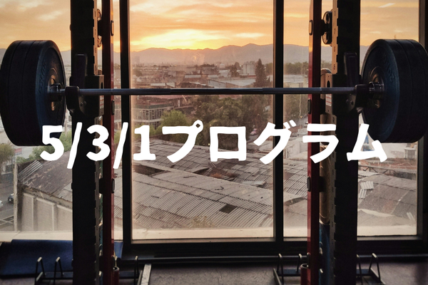 筋力向上プログラム「ジム・ウェンドラーの5/3/1」の解説